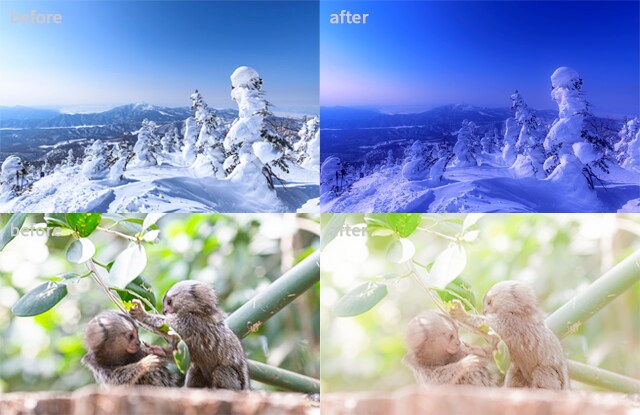 一律千円！Photoshop加工で希望を叶えます この写真の◯◯を△△な感じにしたい！等気軽にご相談ください イメージ7