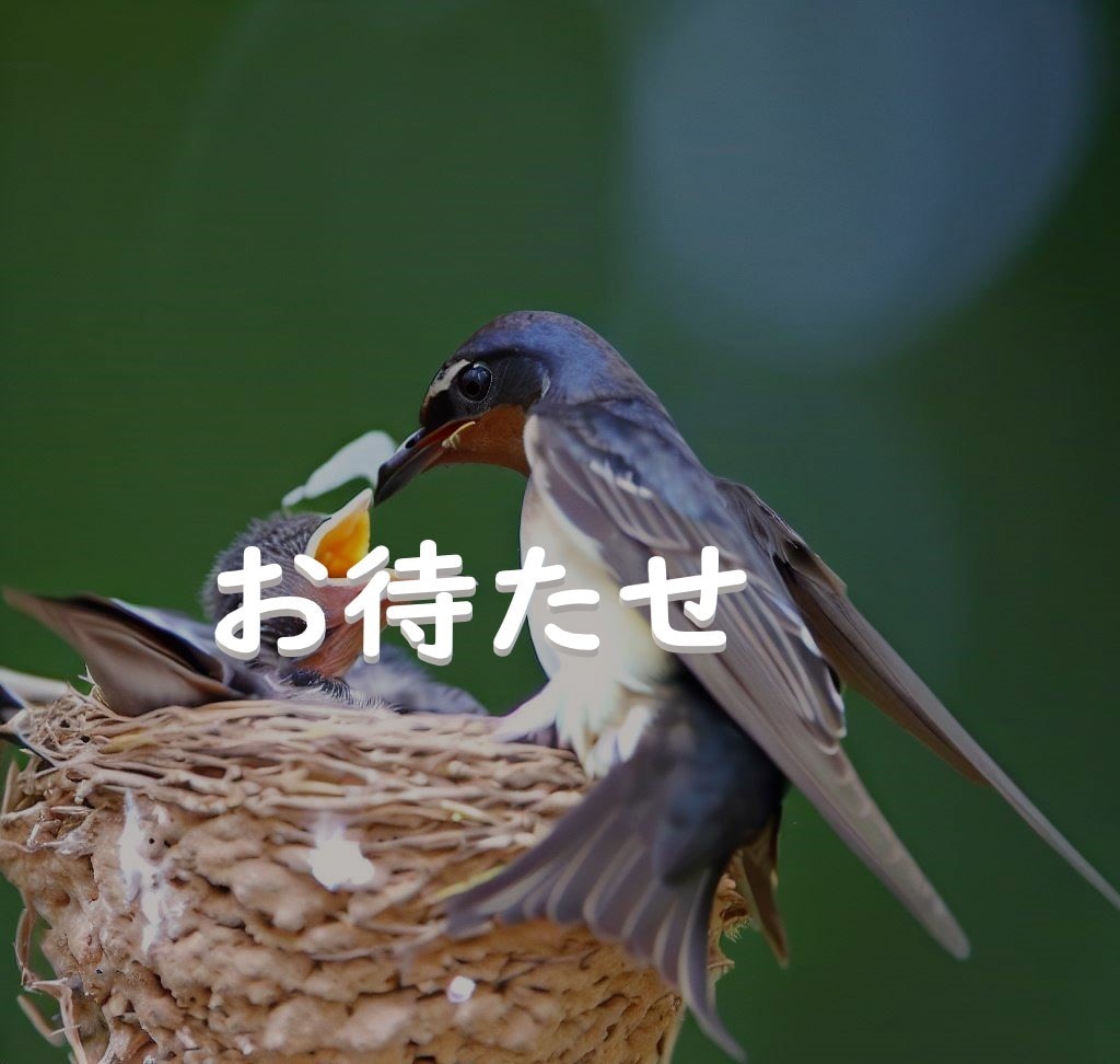 数字の持つ意味であなたの人生の悩みを解決いたします 【数秘術】生年月日が紡ぐ本当のストーリーをあなたに イメージ8
