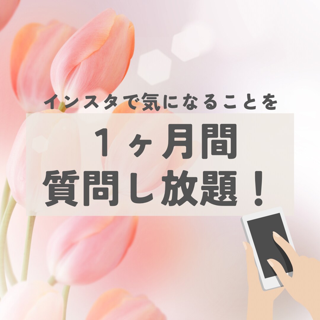 インスタのお悩み相談受け付けます 1ヶ月チャットで質問し放題！何度でもＯＫ！ イメージ1