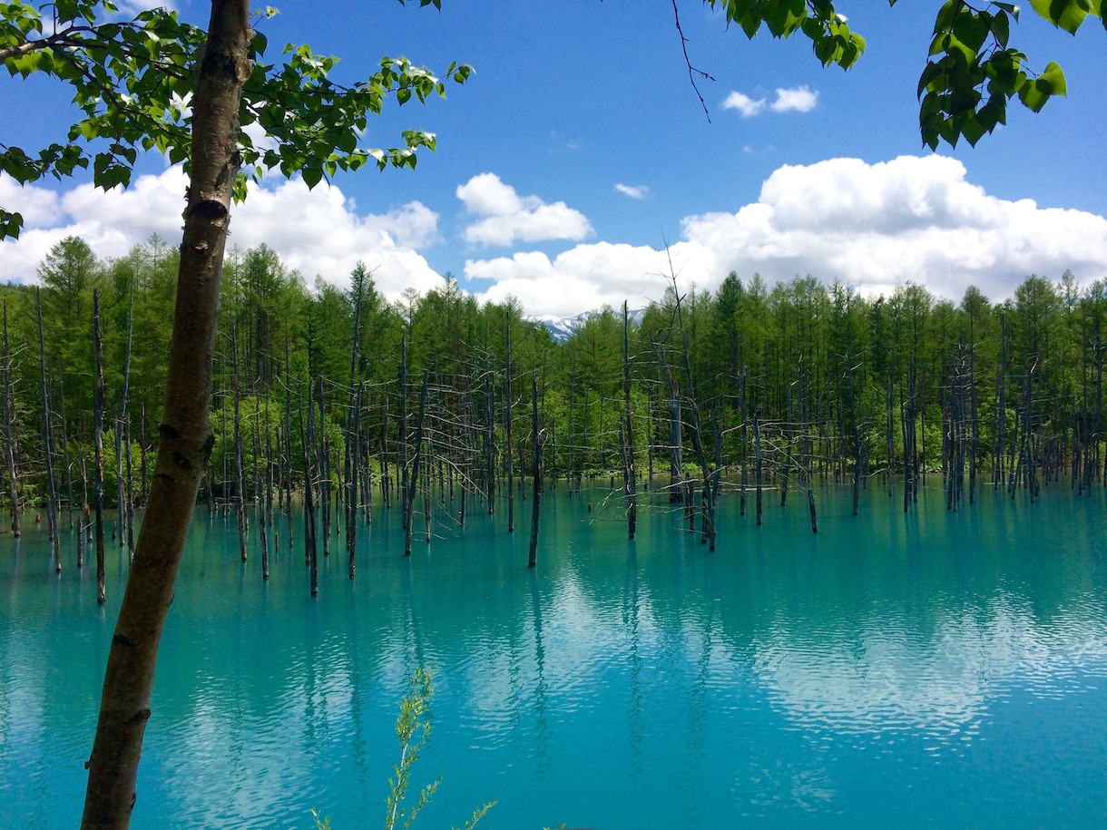 あなただけの旅を演出します Japan Travel Planner イメージ8