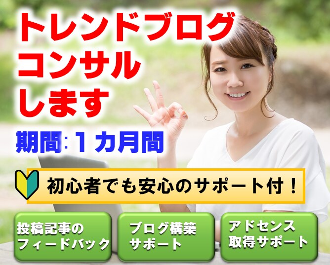 1カ月間トレンドブログのコンサルします 実績があるため、安心してお任せできます。 イメージ1