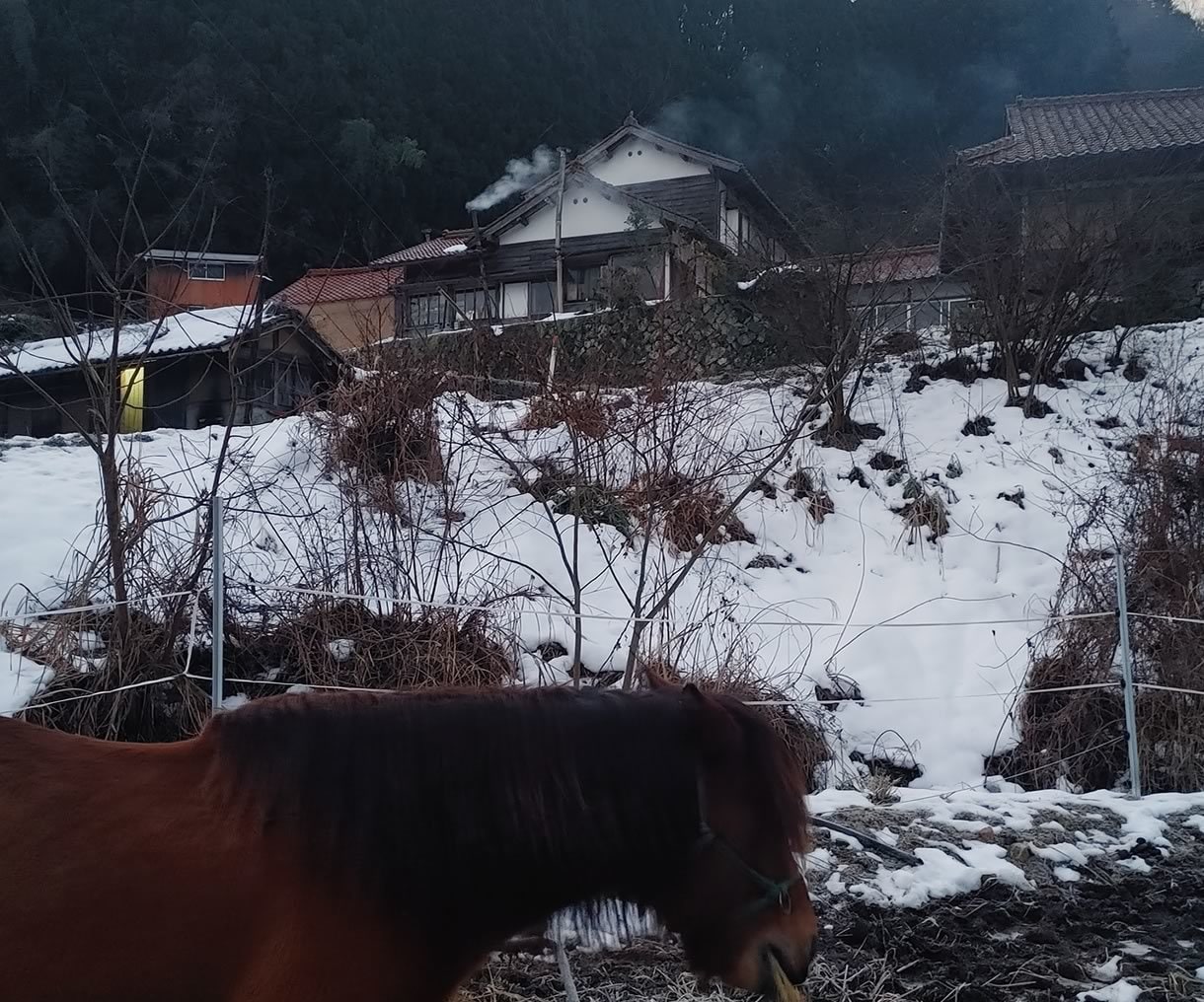 24時間☆チャットで山奥から寄り添います 山奥の素朴さや自然の厳しさから培った、共感、対話、寄り添い イメージ5