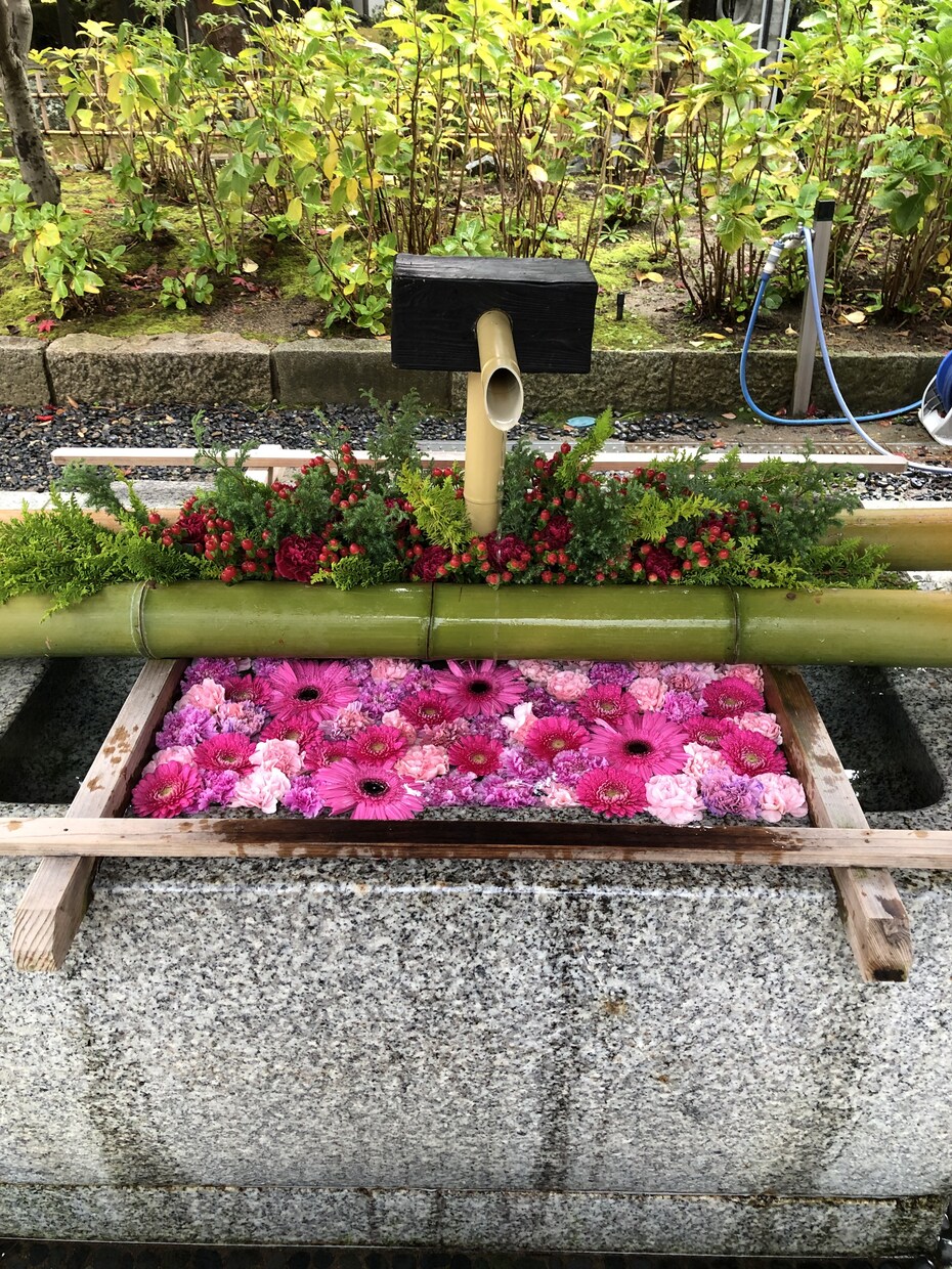 光のご神託✨ご縁がある神様と繋がり未来へ導きます 【豪華2大特典】神様カード＋浄化と癒しのヒーリング付き✨ イメージ1