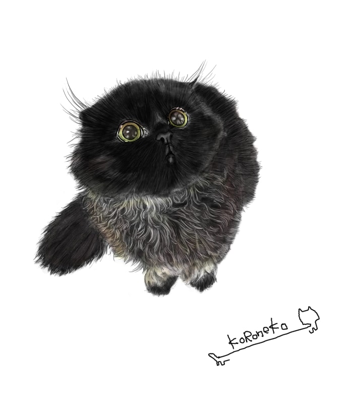 黒猫さんのイラスト描きます リアル画像でシンプルにかっこよく イメージ1