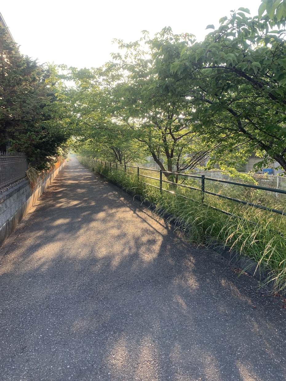 離婚したいしたくない、離婚再婚経験者が相談乗ります 元銀座ホステス、看護師、離婚再婚経験者が親身になります。 イメージ1