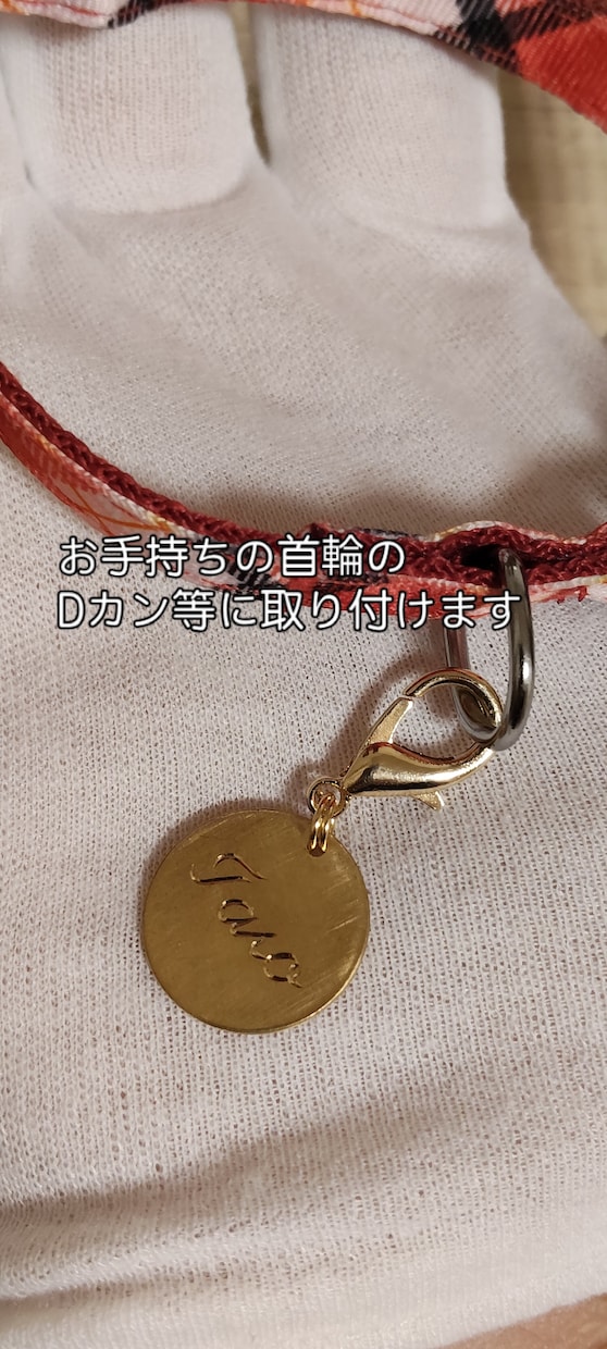 大切な犬猫用　手彫り真鍮製迷子札を作成します 超硬タガネという、金属用の彫刻刀で美しい彫跡になります イメージ6