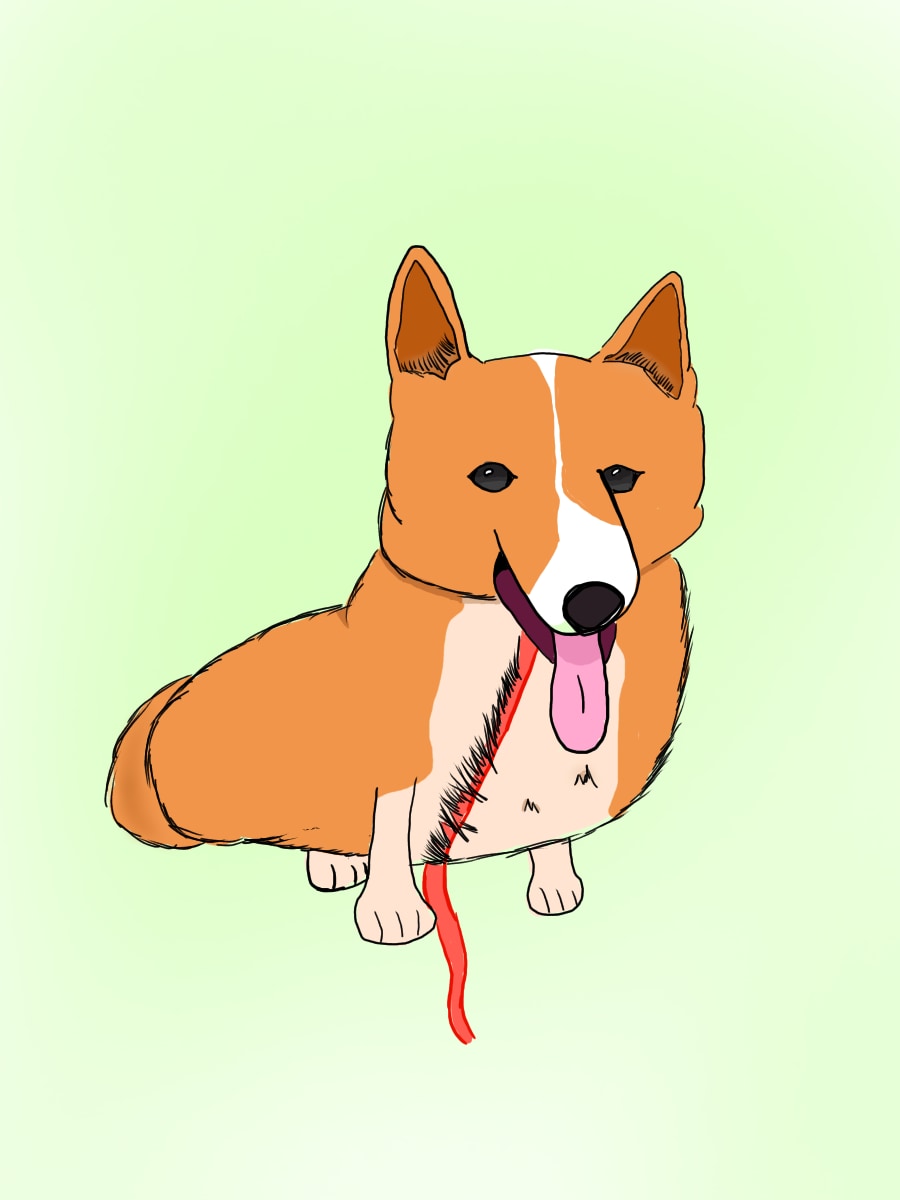 ご家族の動物をイラスト化します ペットを可愛くイラスト化し、ご提供します イメージ4