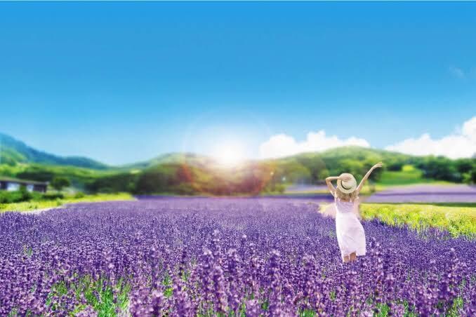 恋愛・友人関係でお悩みの方の相談にのります 家族・学校・会社での対人関係の悩みをお聞かせください。 イメージ1