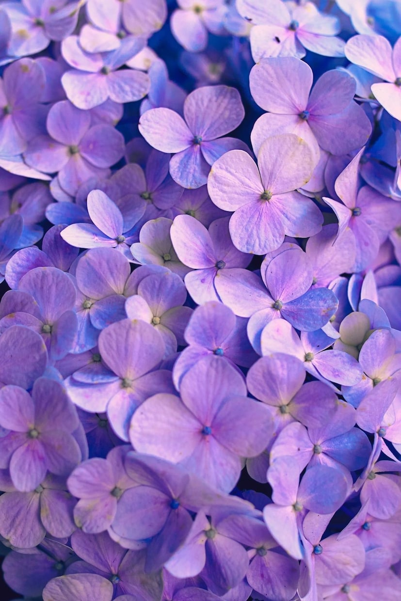 あなたの写真を見て魂の色が何色かをお伝えします 色のみのお伝え☆生まれながらの魂の色を身に着けて運気アップ イメージ8