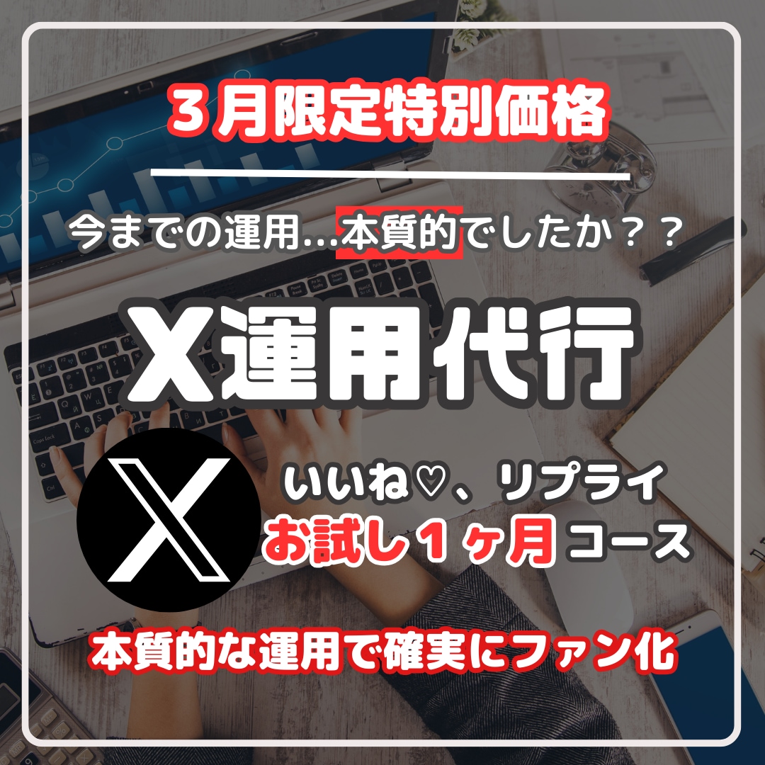 1月初回　あなたのX運用代行します いいねリプライ、１つずつ手作業で丁寧な対応、効果的な運用 イメージ1
