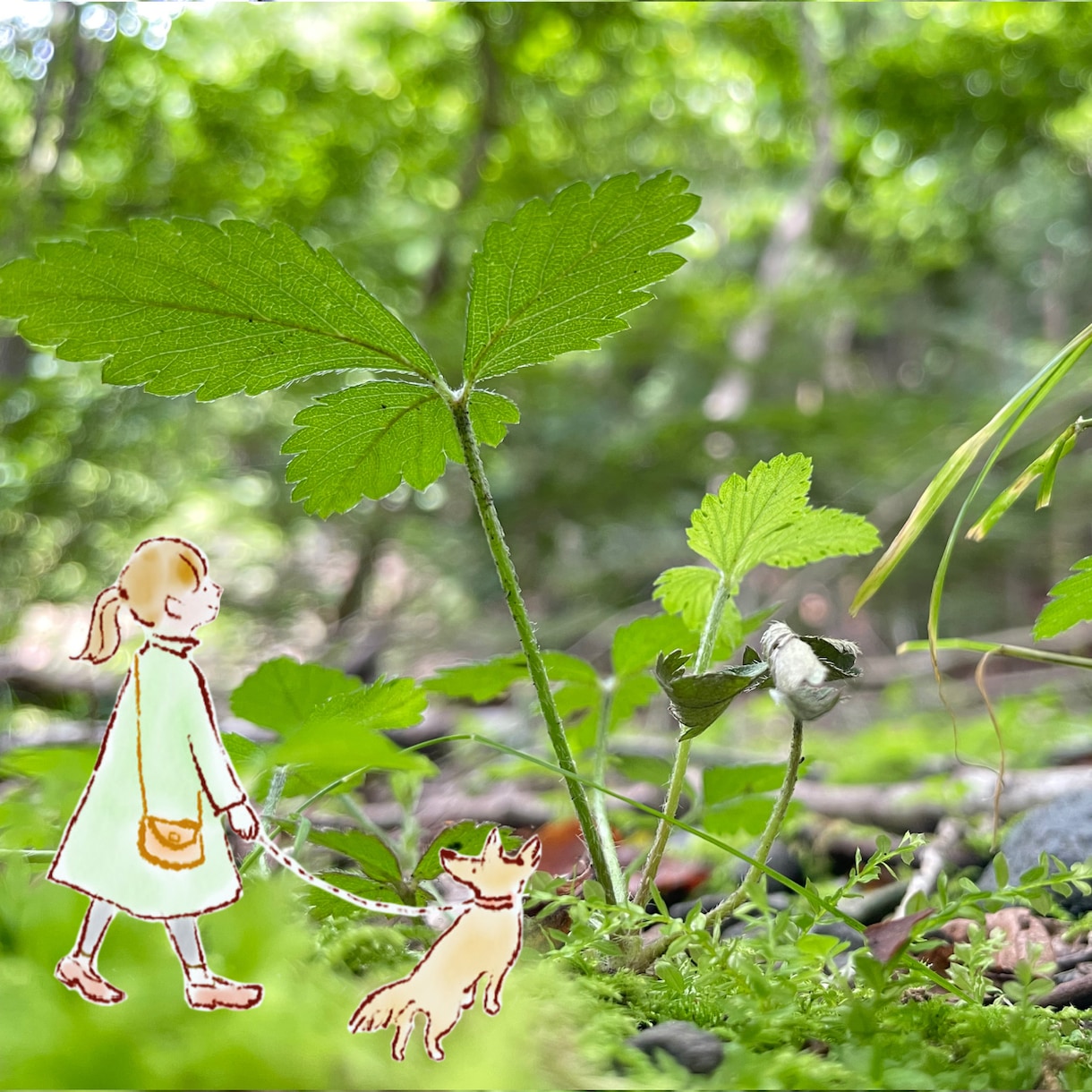 写真とイラストを合わせて物語性のある画像を作ります オリジナルイラストで絵本の世界のような雰囲気のある画像に！ イメージ5