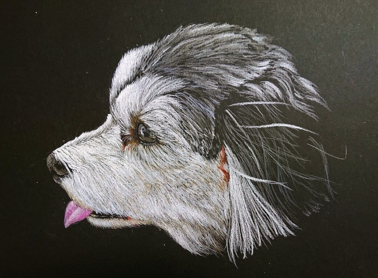 色鉛筆でリアルなペットの絵をお描きいたします リアルで力強く、かつ優しいペットの絵の原画をお送り致します。 イメージ7