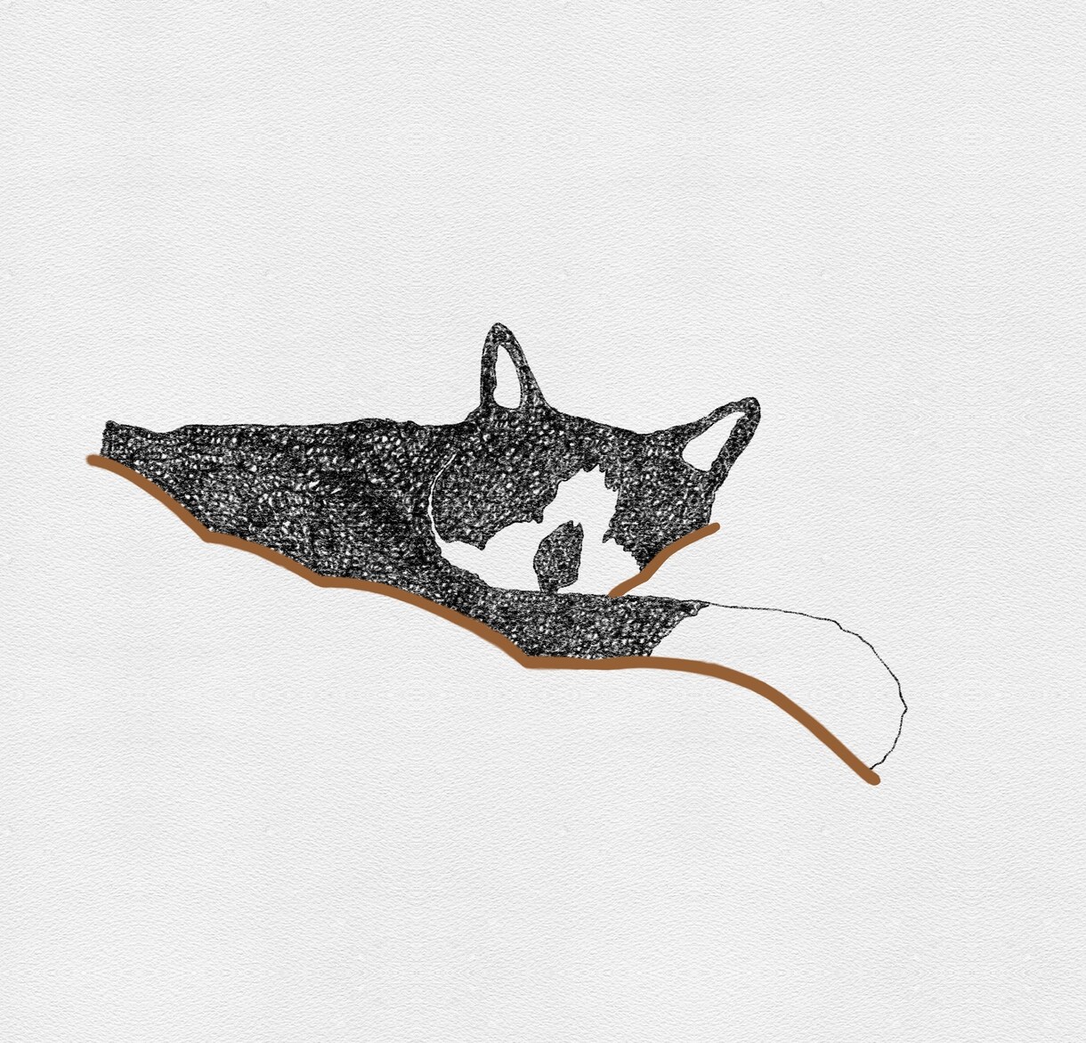 ペットのイラスト描きます ゆるい感じのすてきなイラスト描いて欲しい方。 イメージ4