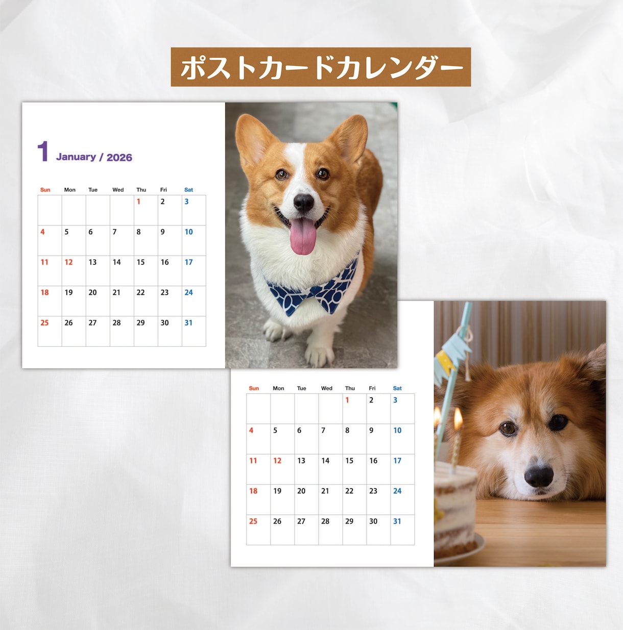 OPEN価格★うちのコが主役♪各種カード作成します ペットも自己紹介する時代！広がる繋がる笑顔になる♪ イメージ6