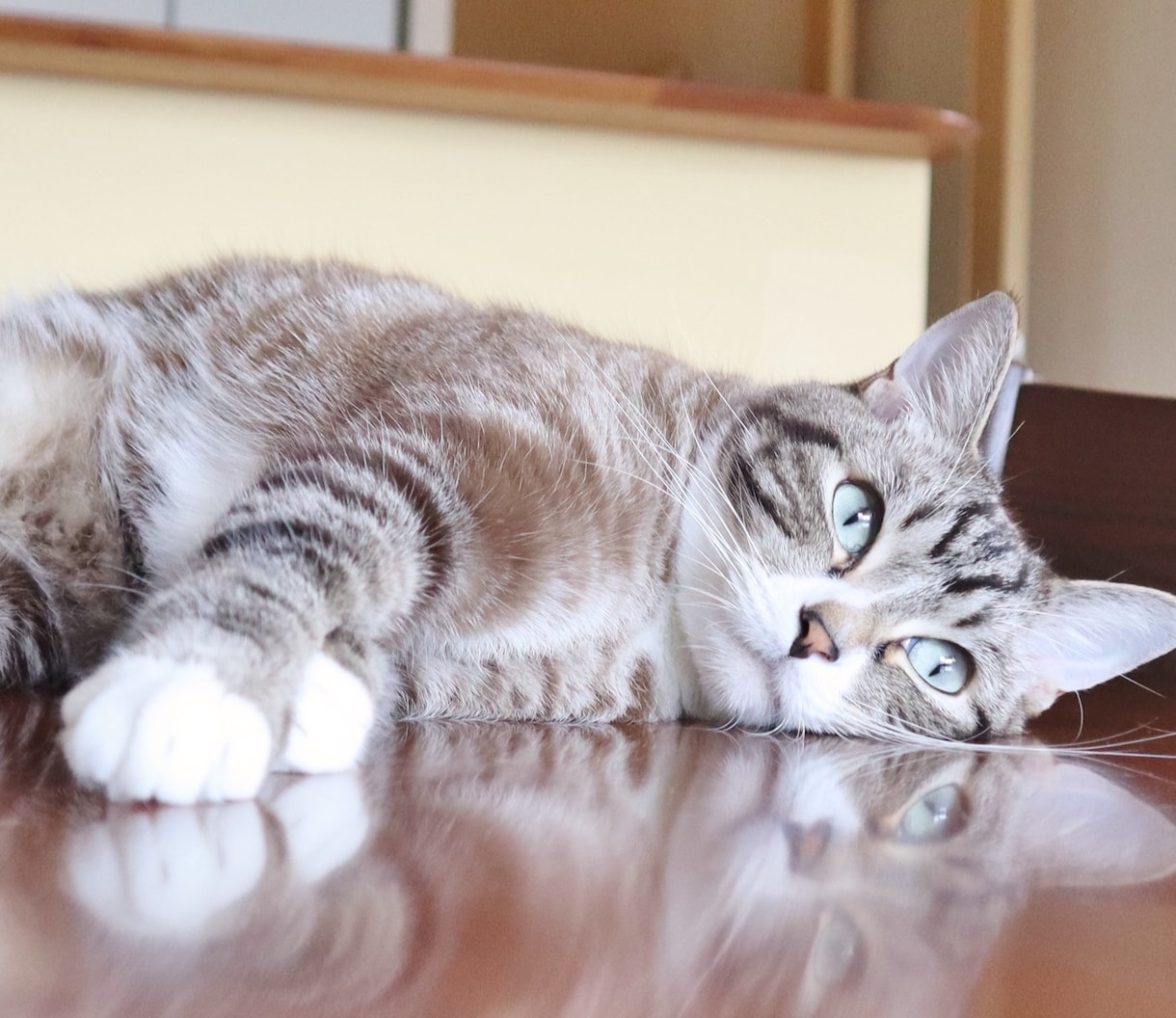 運命の扉を開く「カギ」を持つ占い師がお待ちしてます 涙と笑いの「奇跡の占い」　ここがスゴイ！5つのポイント イメージ2