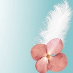 アナタの未来。タロットで二人の気持ち・鑑定します 決めるのは、貴方様です。欧州系タロット占い☆ イメージ1