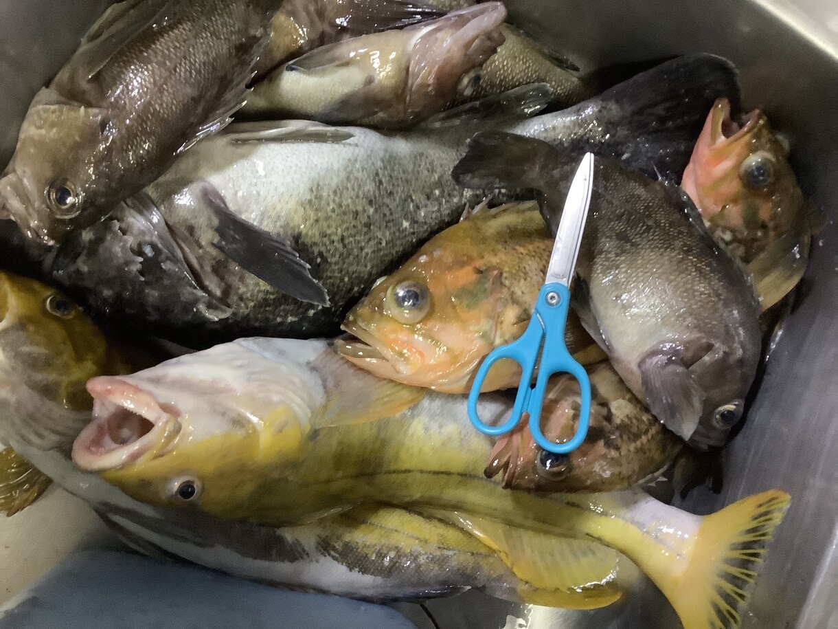 北海道の釣り楽しい話しします マグロからヤマメ迄の、釣り教えます。 イメージ3