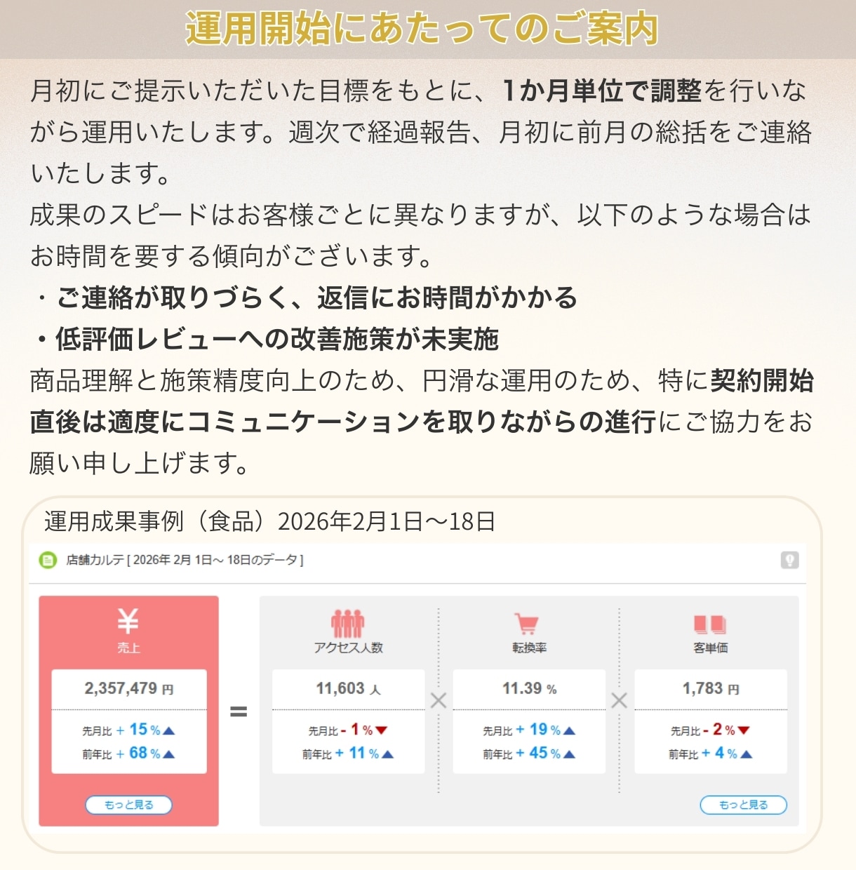 楽天RPP広告運用代行と売上増のアドバイスをします 楽天店長5年以上の豊富な経験で全力サポート！丸投げOK！ イメージ9