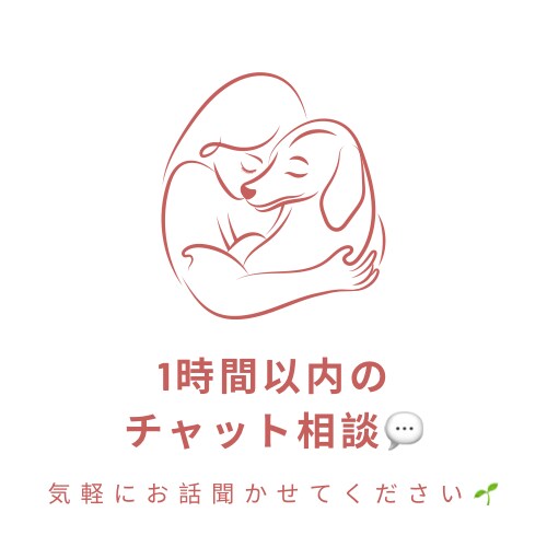 チャットで相談聞きます どんな内容でも大丈夫。モヤモヤが少しでも軽くなりますように。 イメージ1