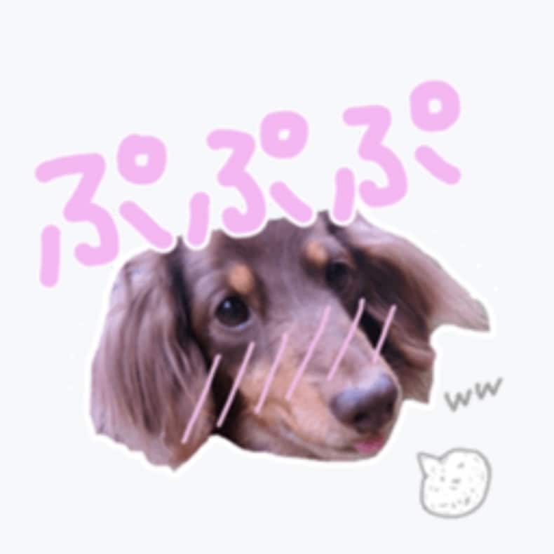 写真を送るだけ★LINEスタンプ作ります あなたの大切な家族のお写真で♡オリジナルLINEスタンプ！ イメージ3