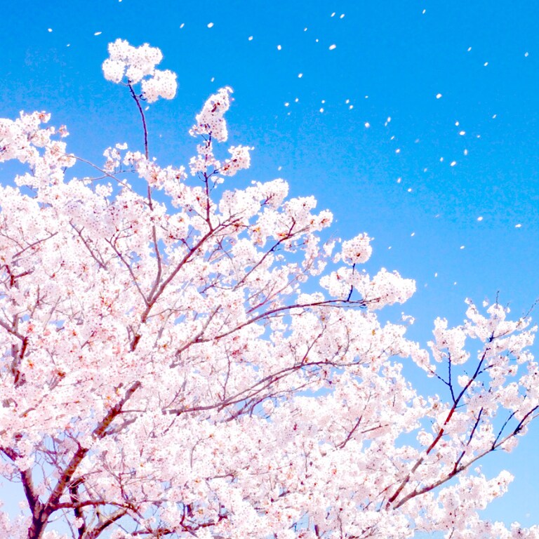 悩みを占います❁癒し❁タロット占いをします 悩んでいることを教えてください。一緒に解決しましょう❁ イメージ1