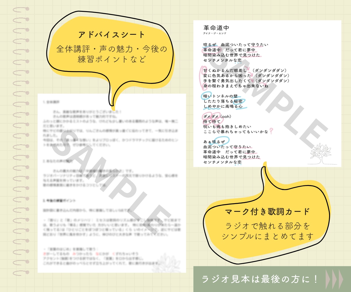 ラジトレ！⋯プロが貴方の耳と感性をラジオで鍛えます ラジオ型ボイトレ+評価シートをお届け！カラオケで心を射抜こう イメージ5
