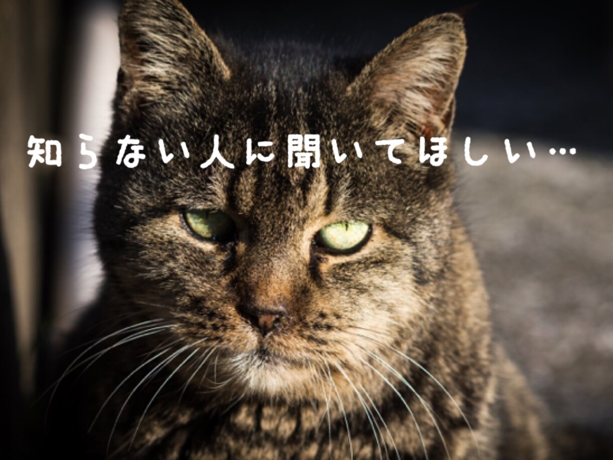 どなたでも大丈夫。愚痴聞き・話し相手になります 秘密厳守・安心の主婦まいりーにお話しをお聴かせください イメージ4
