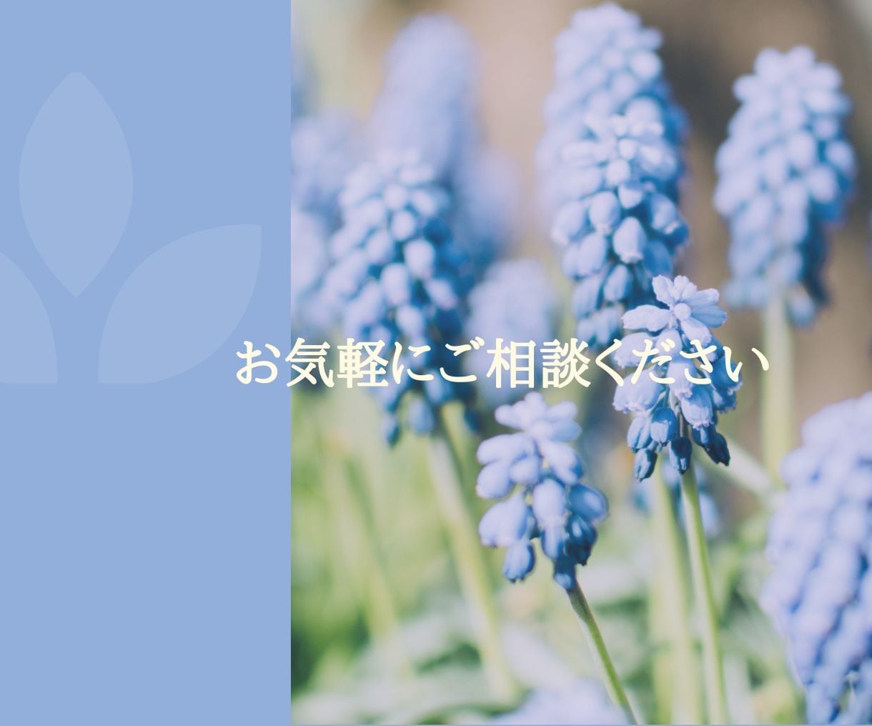 あなたの魂が望む未来へやさしくエネルギーを整えます 本来の自分とつながり、未来への意図を育てる イメージ10
