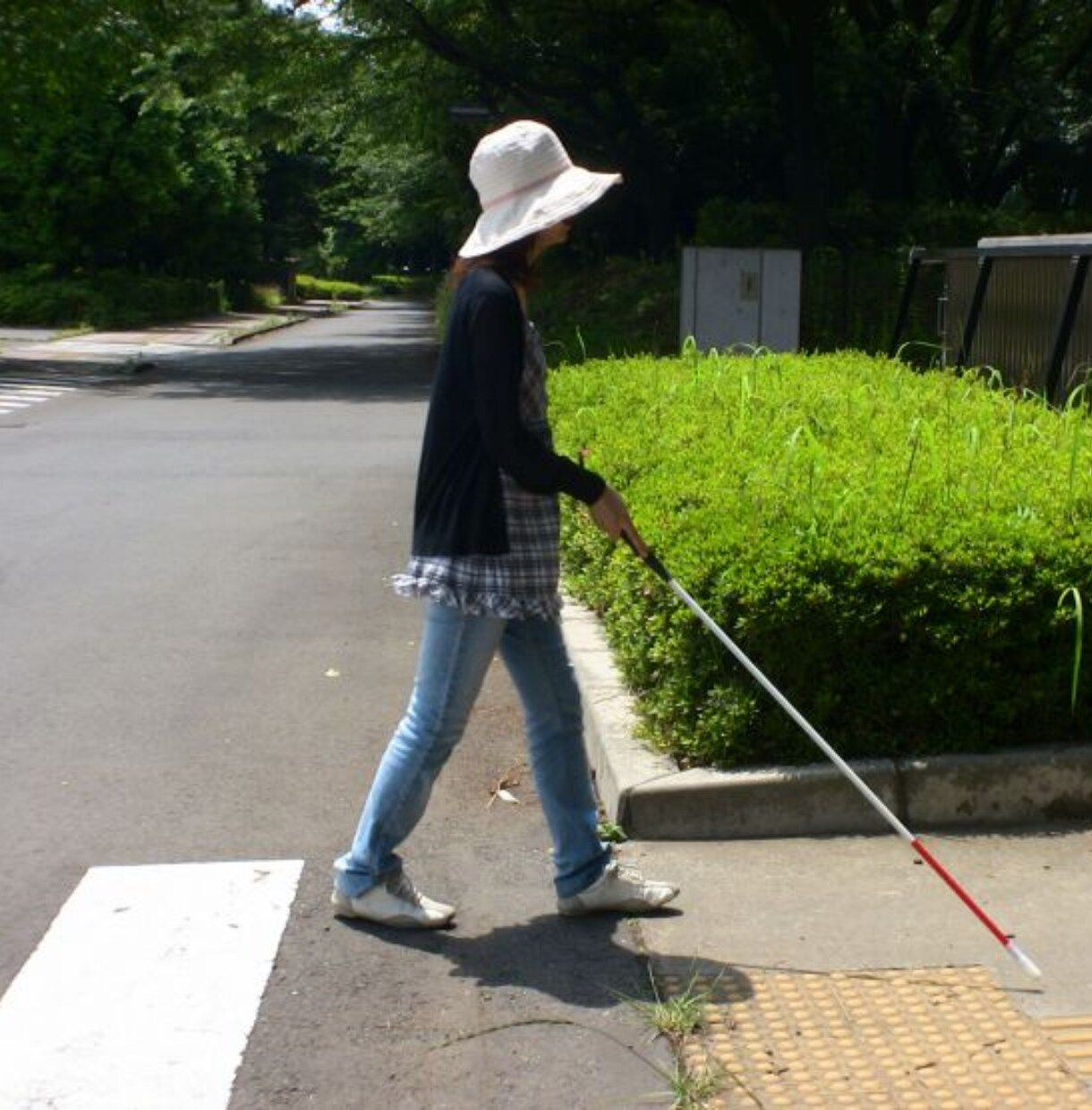 高齢者と障害者の同居生活の大変さを母がお聞きします 下半身麻痺の父と視覚障害者の兄の暮らしは、辛く・苦痛です。 イメージ3