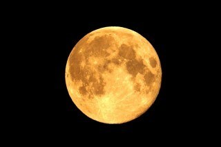 ワンオラクルで占います 今のあなたの背中をそっと押す強いメッセージをお伝えします♡ イメージ2