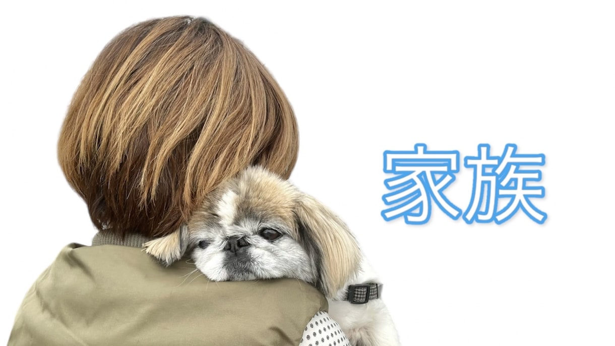 大好きなペットを殺処分から守る方法をお伝えします ラブポチ信託（ペット信託）で自分もペットも安心の老後を！！ イメージ1