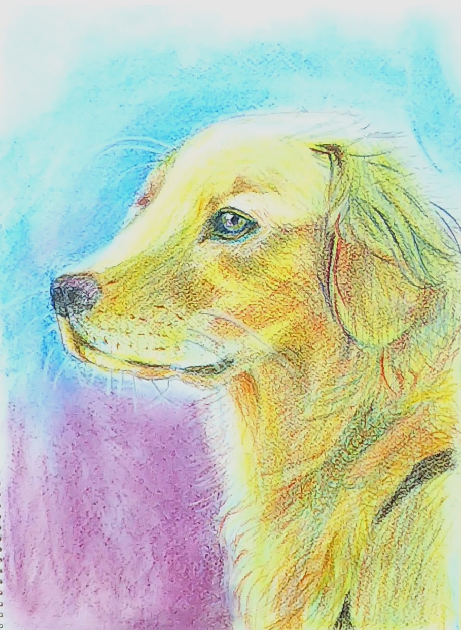 リアルで可愛いペットの肖像画をノリノリで描きます 皆様が愛するペットをふわふわリアルでご提供♪ イメージ2