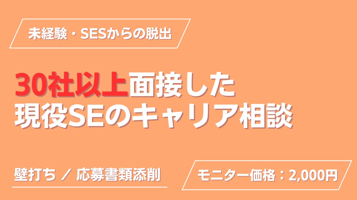 現役SEが皆さんが困っているIT転職の相談にます 30社面接＆採用担当の現役社内SEが本音の生存戦略を伝授 イメージ1