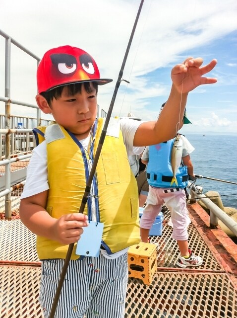 釣れる超簡単！アジゴ釣り入門教えます 初めてでも仕掛け作れ、釣り方まで詳しく解説してます！ イメージ1
