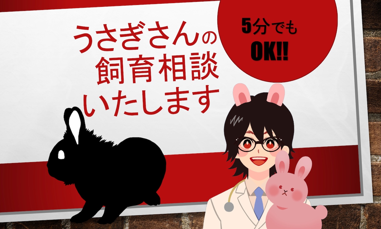 うさぎさんのお悩みお答えします うさぎさんの診察歴１０年以上の獣医師がお悩み相談します イメージ2