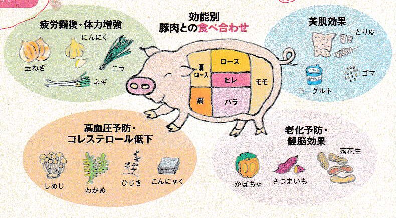 手描きイラスト描きます 人物や食べ物、乗り物等のイラスト描きます。データ化OK！ イメージ3