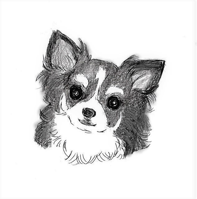 ペットの絵を描きます わんちゃんねこちゃんなどご家族の一員を可愛い絵にします イメージ4