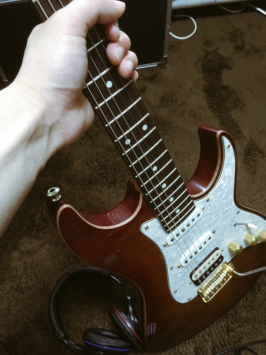 ギターの音入れにご協力します 打ち込み音源からもうワンステップ上へ！ イメージ1