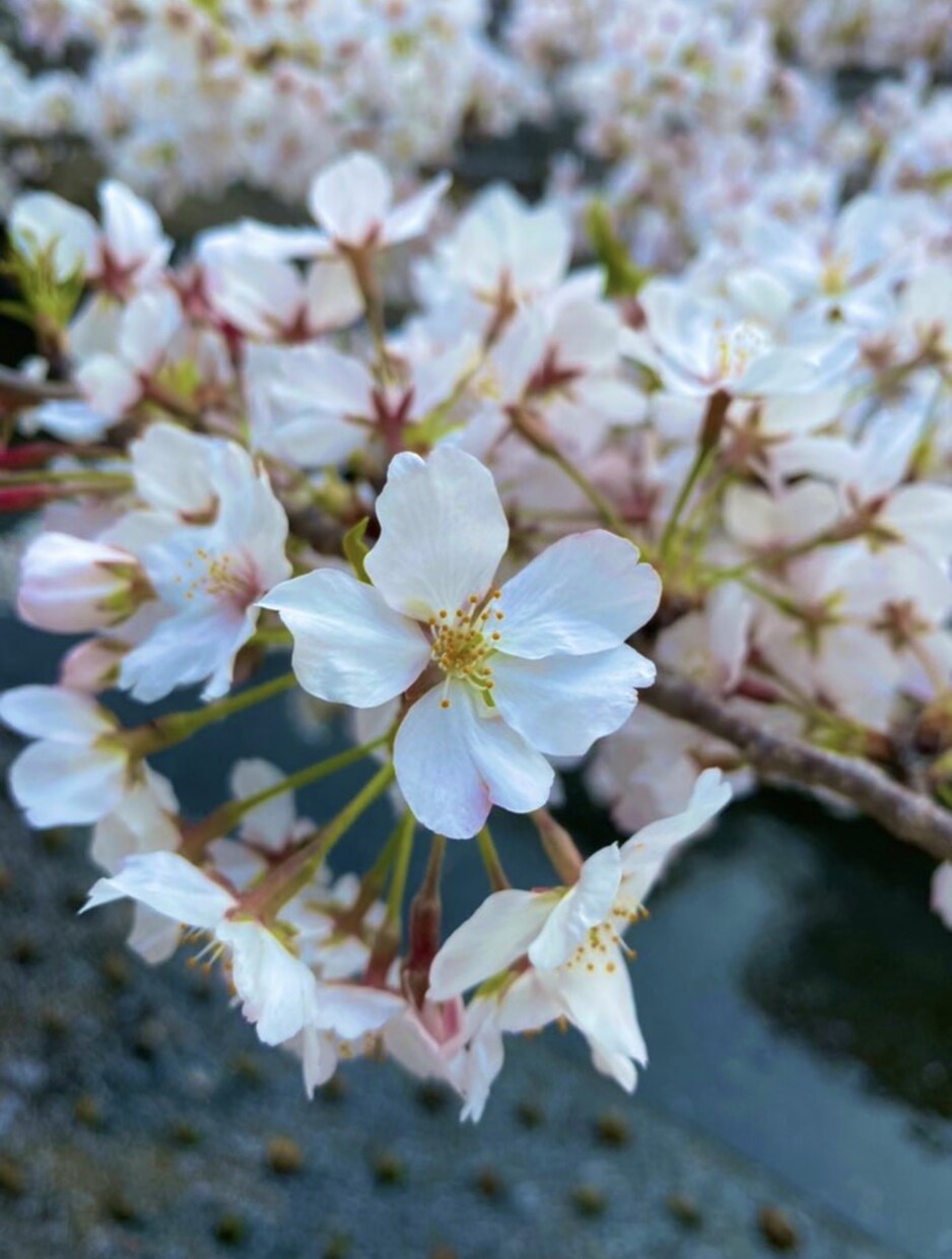 暇つぶし、話し相手、相談のります 楽しい時間を提供できればと思います☺︎ イメージ1