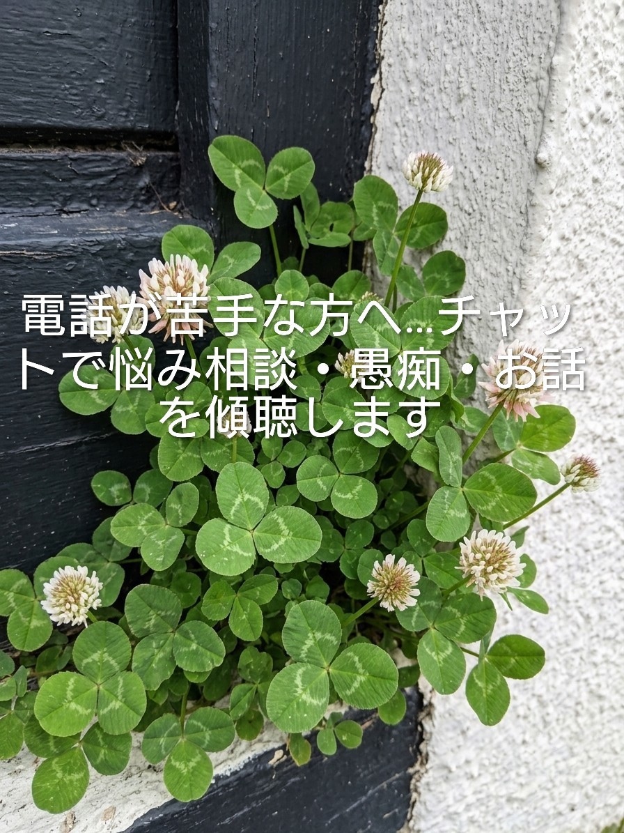 うつ•不安の経験者がチャットで悩みをお聴きします 電話が苦手でも大丈夫。文字でゆっくりお話ください イメージ1
