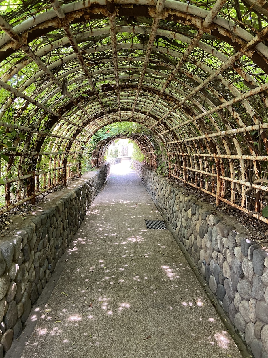 神戸の街や自然、風景を撮影して写真データ送ります イラスト参考、画像素材、現況確認。リクエスト受付20点まで イメージ7