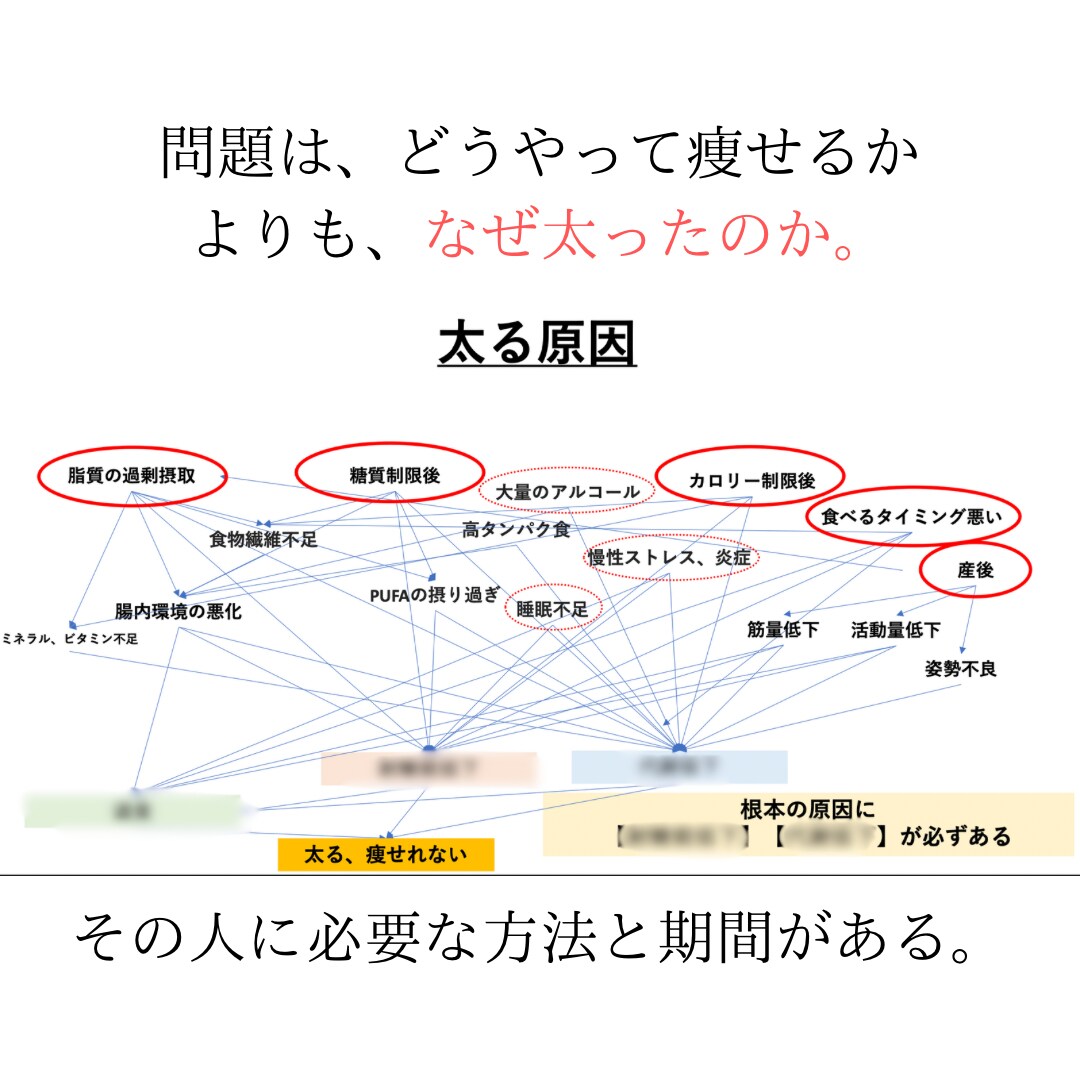 先着10名様限定/再現性の高いダイエット指導します 臨床栄養医学指導士による高品質の徹底サポート✨ イメージ3