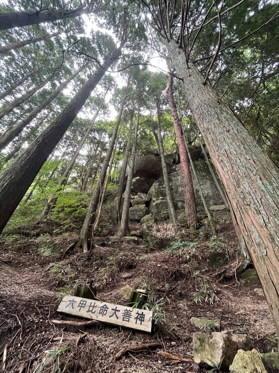 感じるまま話せる場所をひらきます 鳥居をくぐるように、安心して想いを話せる場所です。 イメージ3