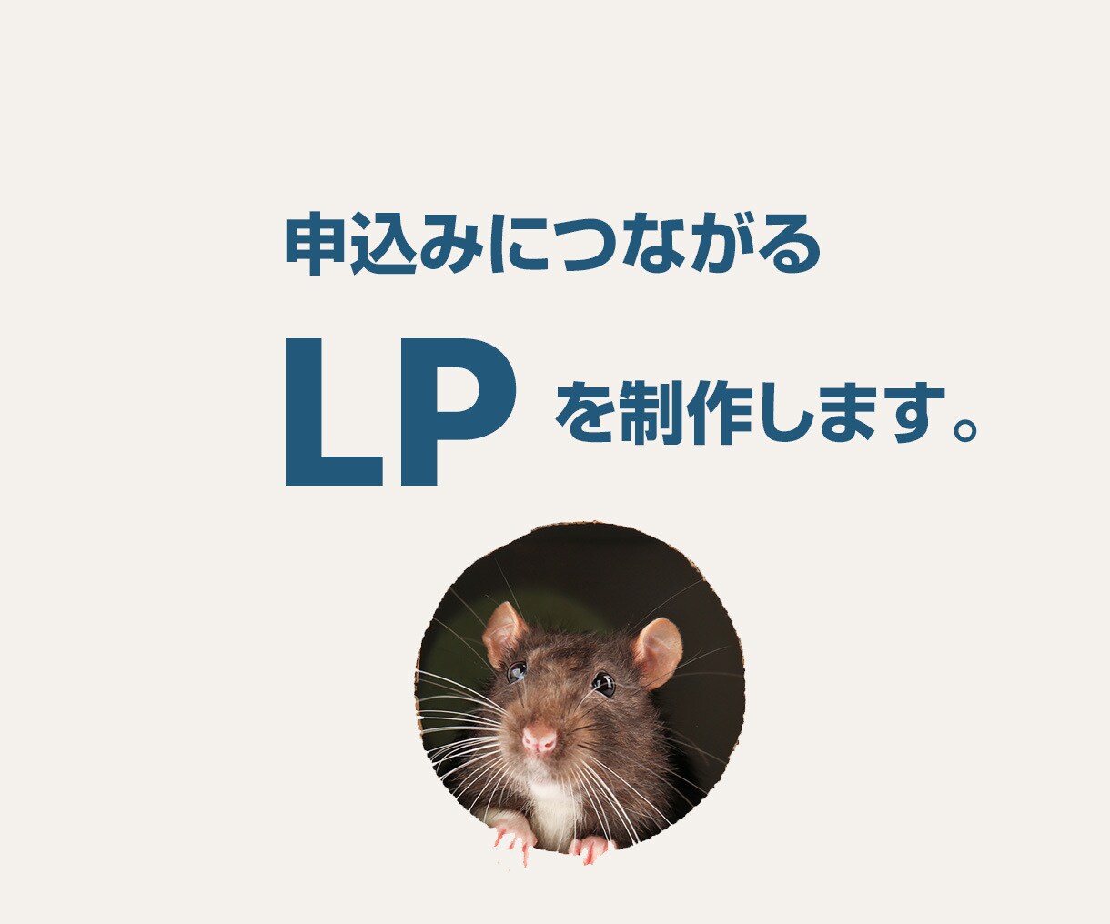 安売りせず、価値で選ばれるLP制作します 商品の魅力と背景を整理し、申込みにつながるLPへ イメージ5