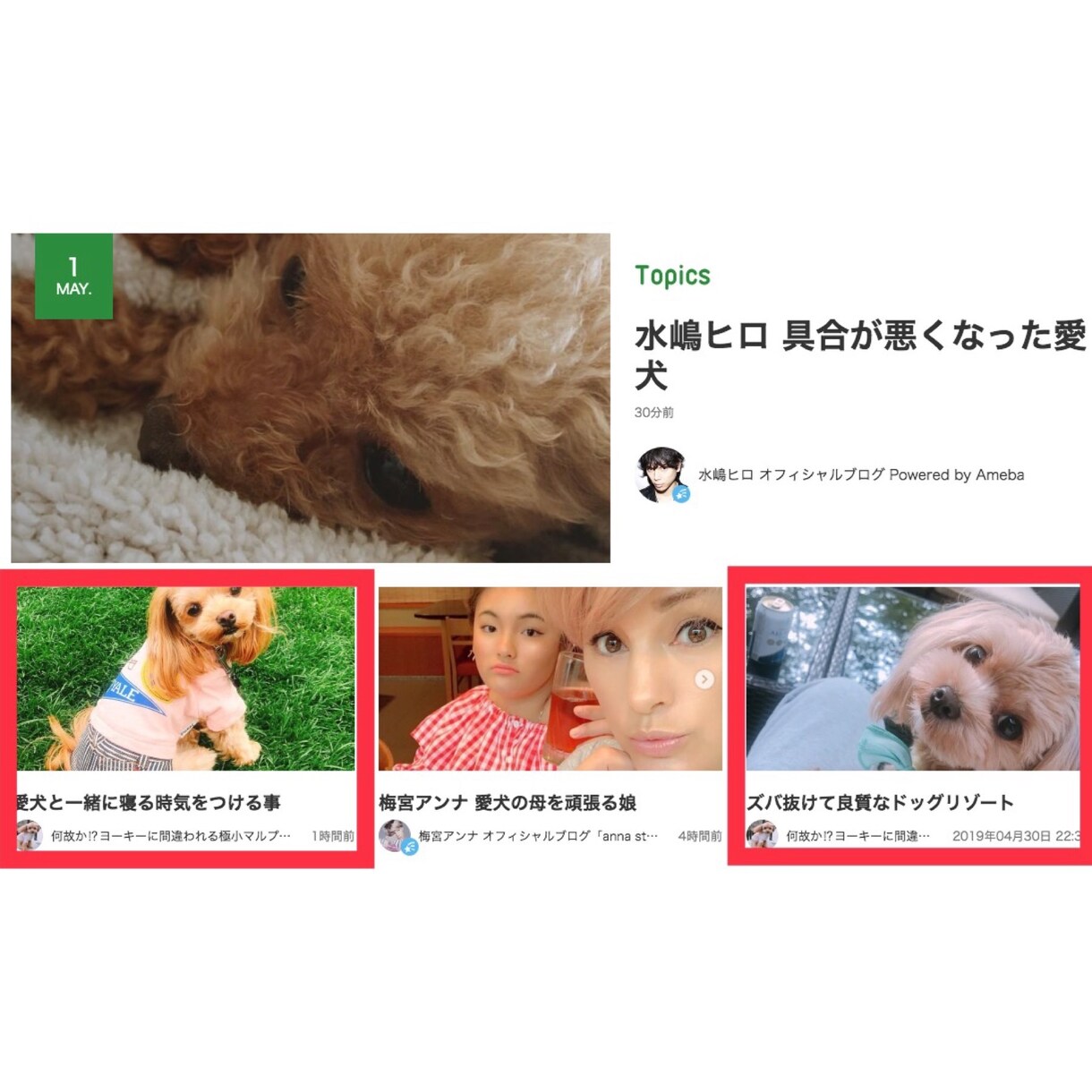 アメブロを5日間集中で徹底的に強化します 【Ameba公式トップブロガー】によるパワーブロガー養成術 イメージ3