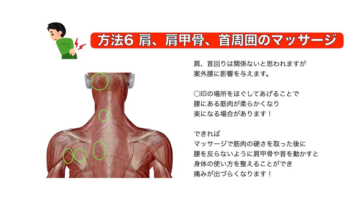 筋、骨、関節をもとに身体の仕組みや動き方を教えます 身体に関わるお仕事をされる方、医療系学生向け！ イメージ3