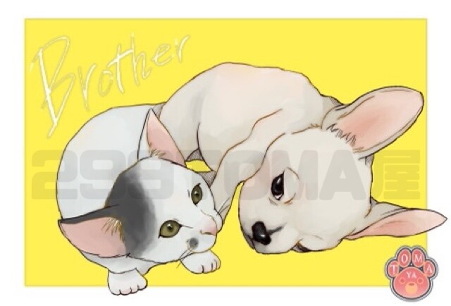 ペットの似顔絵を制作します 飾って可愛いポストカードサイズ！プロフ画像に使えるオマケ付き イメージ5