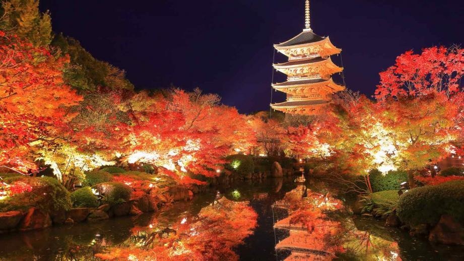 日本史【大手予備校プロ講師】成績UPに貢献します 中高一貫校で日本史キャリア３０年のエッセンスお伝えします！ イメージ3