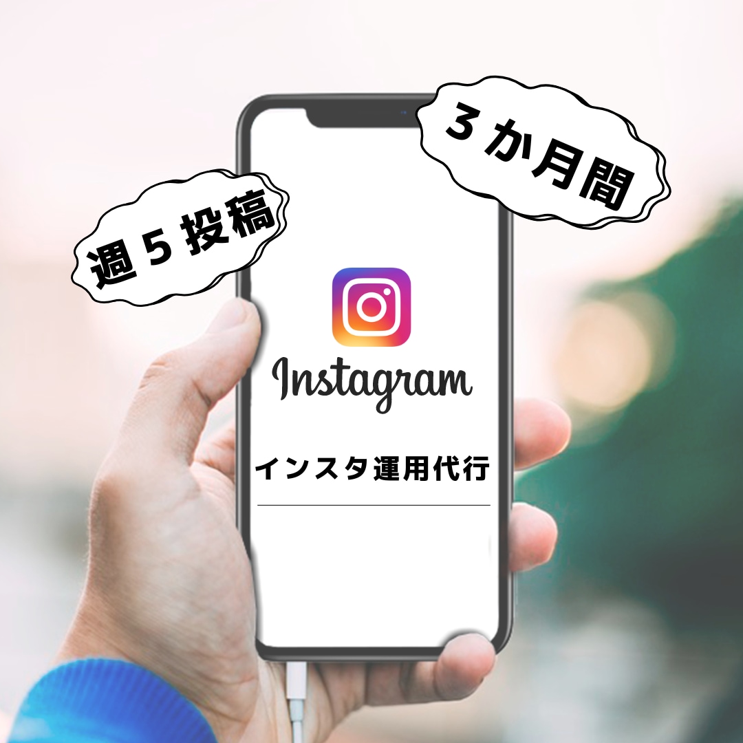 現役のプロが３か月間インスタ運用代行します 週５投稿！投稿枚数多くても追加料金なし！ イメージ1