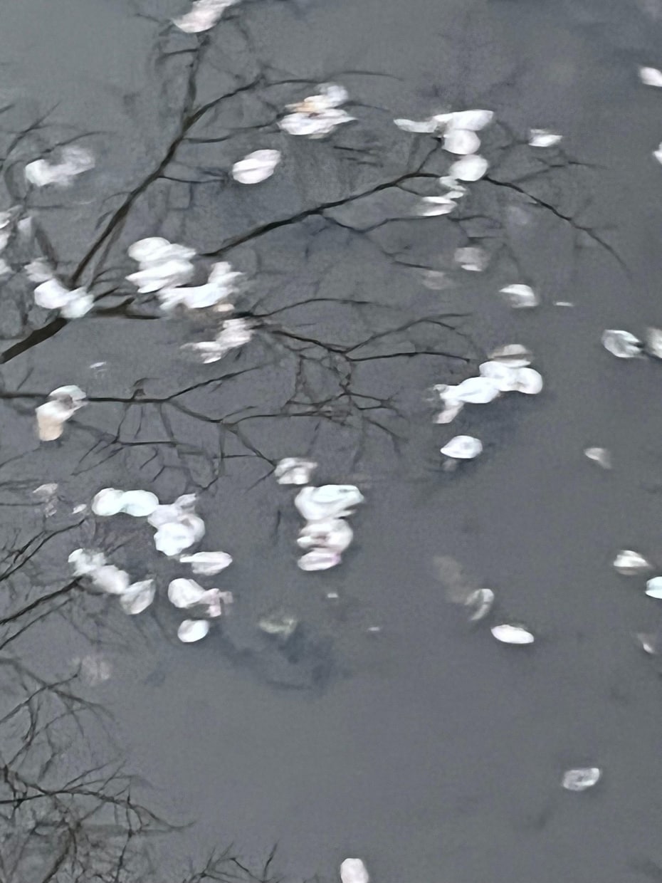 海や空、花など主に自然を対象とした写真を提供します 鮮明でイキイキとした風景を、静かで朧げな写真で残します！ イメージ2